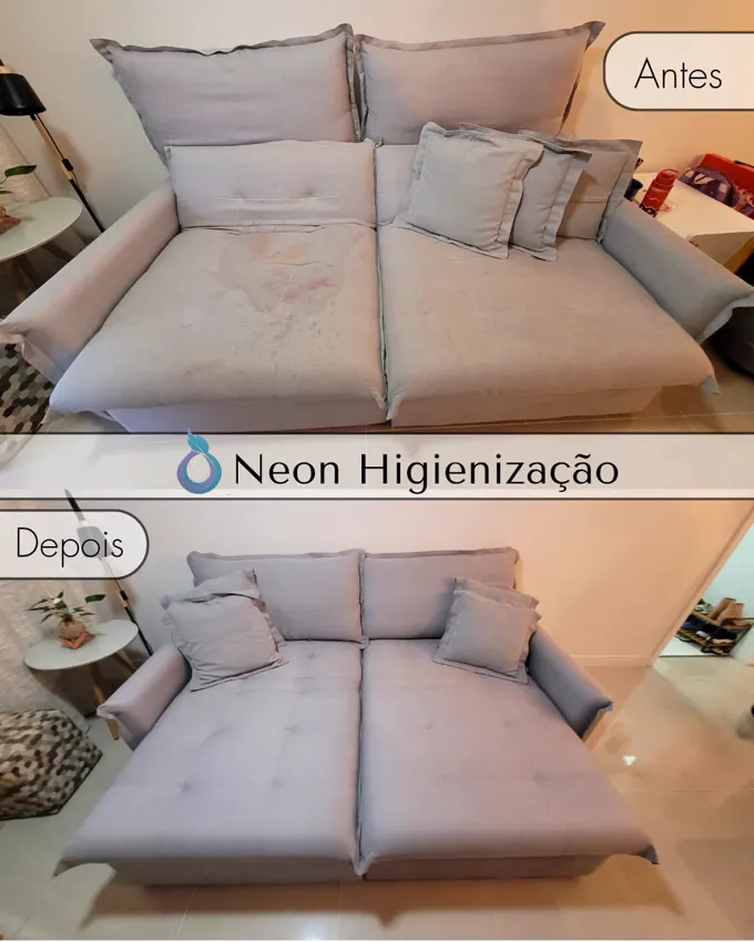 Resultado de higienização 14 - Neon Higienização