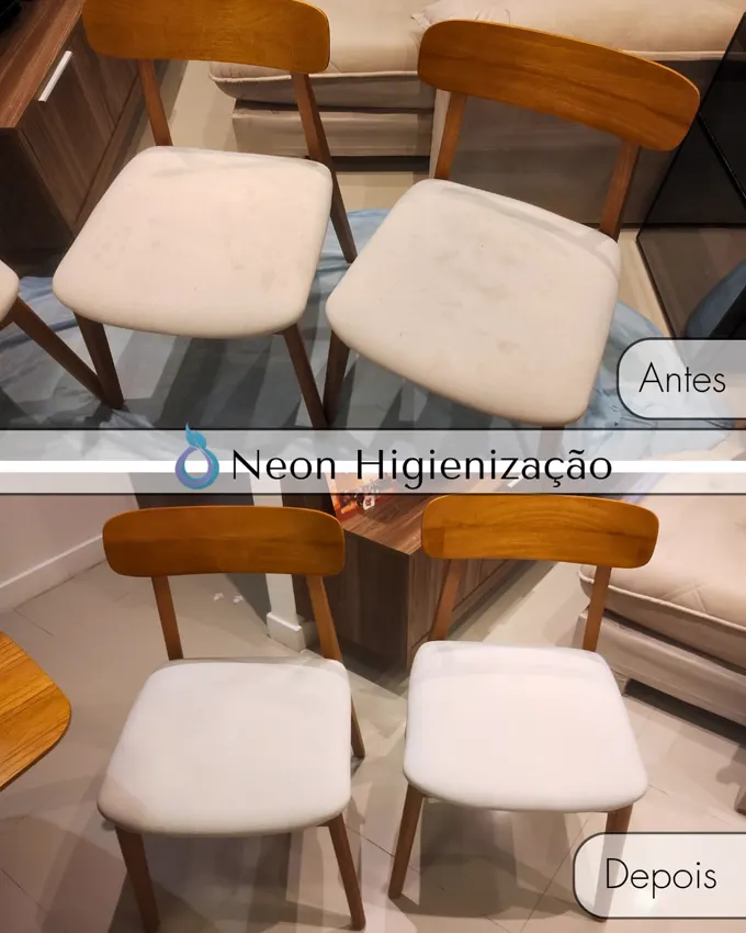 Resultado de higienização 24 - Neon Higienização